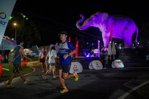 BIB: 
                            <button type="button" onclick="openModal(26552195)" class="btn btn-primary btn-sm float-right btn-popup" data-toggle="modal" data-target=".modal-high-quality">
                        <i class="fas fa-shopping-cart"></i> Add to Cart
                    </button>
                                            <button type="button" onclick="isThisMe(26552195, true)" class="btn btn-success btn-sm float-right btn-popup btn-isme hidden" data-toggle="tooltip" data-placement="bottom" title="นี่คือรูปของคุณใช่ไหม คลิกที่นี่เพื่อเอาเข้าอัลบั้ม">
                        <i class="fas fa-plus"></i> Add to album
                    </button>
                    <button type="button" onclick="isThisMe(26552195, false)" class="btn btn-warning btn-sm float-right btn-popup btn-isnotme hidden">
                        <i class="fas fa-ban"></i> Remove from album
                    </button>